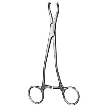 Oral Instruments