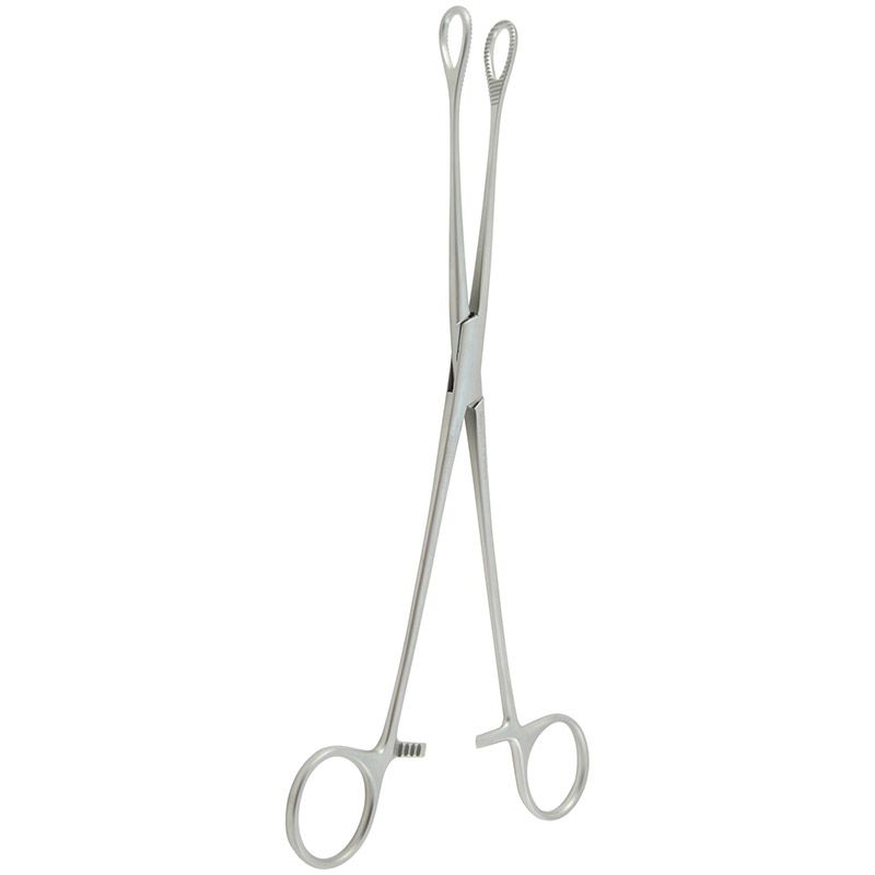Sponge Forceps