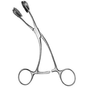 Young Forceps